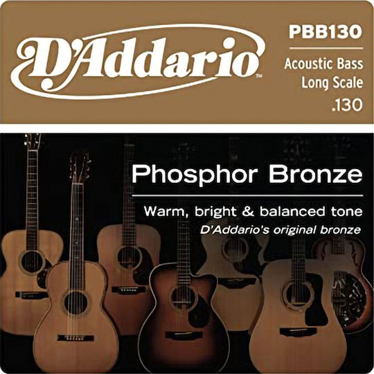 D'Addario PBB130 Akustik-Basssaite 130'' Phosphorbronze Long Scale