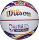 Wilson Mini Basketball Draußen
