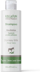 Kalliston Shampoo for Itching Hydration 250ml Kalliston Shampoo for Itching Hydration 250ml