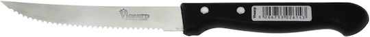 Viosarp Knife General Use from Stainless Steel 21cm