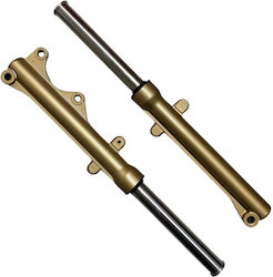 Roc Sticle pentru motocicletă Roc Sticle pentru motocicletă
