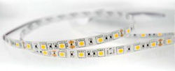 Lucas LED Strip Warm White Light 1m