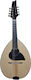 Acoustic Mandolin