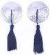 Sparkling Silver Nipple Tassels