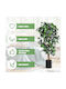 Costway Artificial Ficus Tree 180cm 1008 Leaves Realistic Design Hw65359