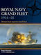 Royal Navy Grand Fleet
