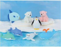 Eraser 3D Pouch Design Marine Animals Box 60 Pieces 8 Assorted Designs Iwako
