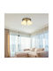 Globo Lighting Ceiling Mount Light Transparent with Socket E27