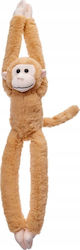 Beppe Plush Toys Plush 45 cm.