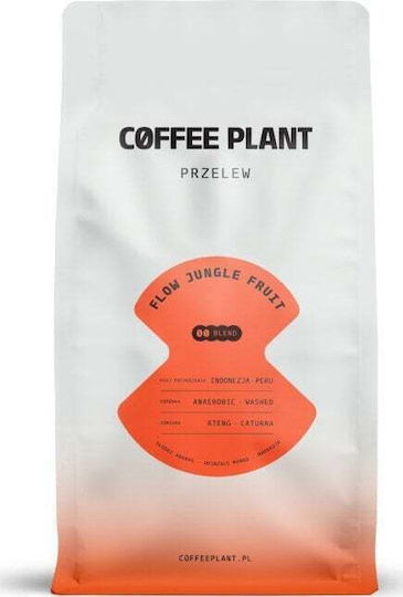 Boabe de Cafea Plantă de Cafea Flow Jungle Fruit 800 G