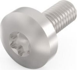 Schroff Șurub Torx Galvanizat cu Lungime 4mm 100buc