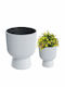 Prosperplast Саксия Пластмаса Бял 24x30εκ.