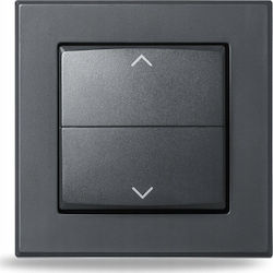 Πλήκτρο Homematic Ip Homematic Ip Διακόπτες Μάρκας Βέλη Ανθρακί
