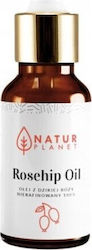 Nature Queen Έλαιο Τριαντάφυλλου 30ml