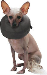 Grande Finale Postoperative Collar Size 2 Wet K 2