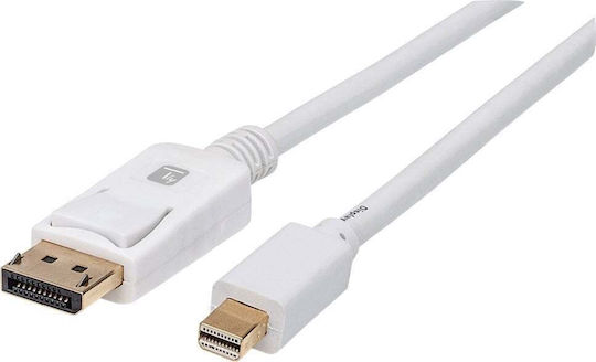 Techly Cable DisplayPort male - mini DisplayPort male 1m Λευκό