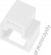 RJ45 Stecker-Sicherung Alantec Unbefugte Trennung Transparent Packung mit 24 + Alantec Schlüssel