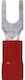 Lapp Kabelschuh Gabeltyp L-rb 6 F 1.5-2.5/m6 63105150