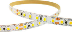 Saska Garden Hanging Solar Light Garland Saska Garden Hanging Solar Light Garland