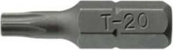 Teng Tools Σετ 3 Μύτες Κατσαβιδιού Torx