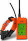 Dog Trace Gps X30t Elektrisches Trainingshalsband für Hunde