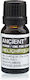 Ancient Wisdom Essential Oil Elichrysus 10ml