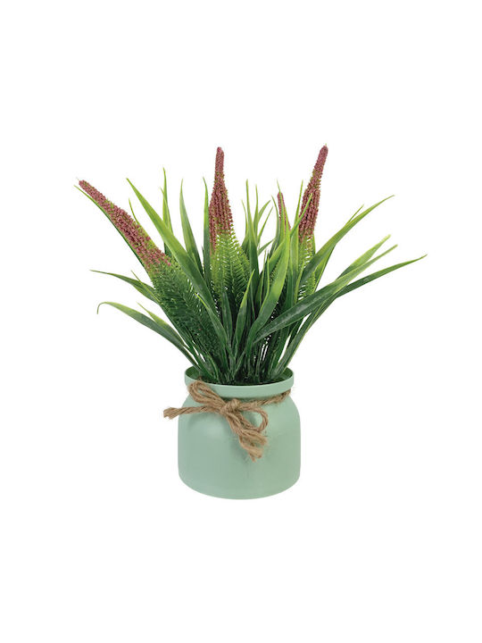 Λεβάντα σε Γλαστράκι Κόκκινο 27cm Marhome