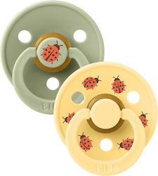 Bibs Studio Schnuller Gummi Grün für 0+ Monate 2Stück Bibs Studio Schnuller Gummi Grün für 0+ Monate 2Stück