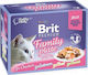 Brit Premium Family Plate Wet Food for Cats in Pouches 12x85gr