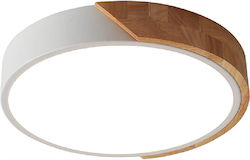 Sun Light Ceiling Light 42cm Sun Light Ceiling Light 42cm