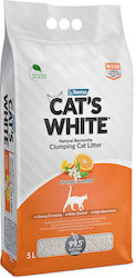 Cat's White Μπετονίτης με Άρωμα Πορτοκάλι 5lt Cat's White Μπετονίτης με Άρωμα Πορτοκάλι 5lt