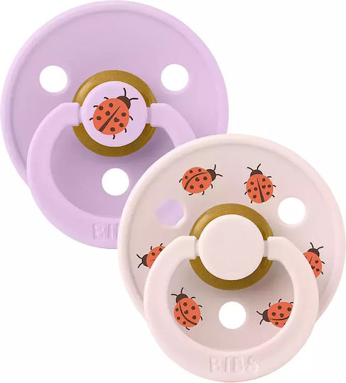 Bibs Schnuller Gummi Ladybag Violetter Himmel für 6-18 Monate 2Stück