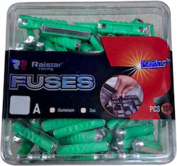 Raistar Set Auto-Sicherungen Green 30A 100Stück