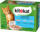 Kitekat Nassfutter für Katzen in Beutel mit Fisch, Lachs und Kabeljau 12x85gr