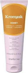 Inebrya Hair Mask 250ml Inebrya Hair Mask 250ml