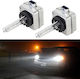 Car Xenon Kit D8S 12V 6000K Cold White