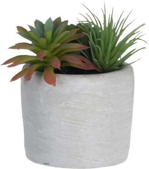 Artificial Succulent Plant I 10cm Ceramic Pot Ø7xH6.5cm