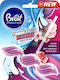 Brait Hygiene & Frische WC-Würfel Power Fresh Flowers 39g