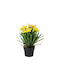 Gelbe Künstliche Gänseblume H26x10x10cm Schwarzer Topf