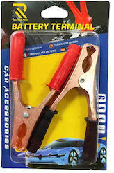 Rchang Battery Clamps