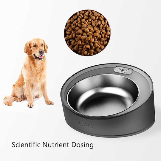 Stainless Steel Food Bowl for Dog & Cat 17cm with Scale