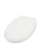 TechnoSet Capac WC Plastic 43x36cm Alb