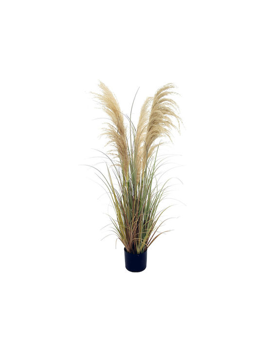 Artificial Pampas Grass Plant Brown Plastic Pot 218cm