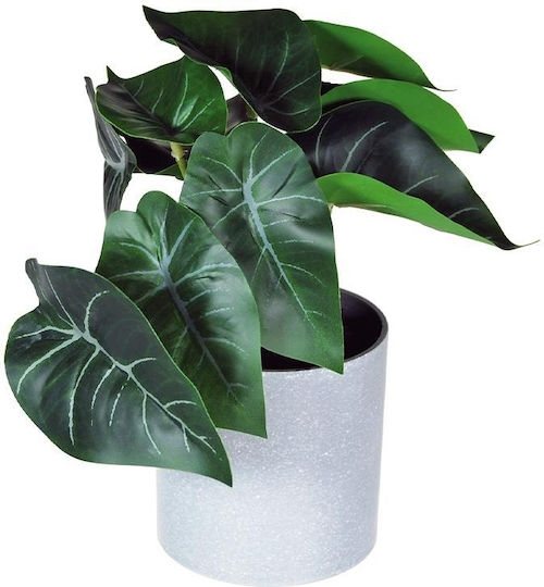 Artificial Dieffenbachia Plant 18cm Grey Plastic Pot Ø8xH8cm
