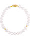Brățară Clasp de Aur K14 Perle Albe B126182
