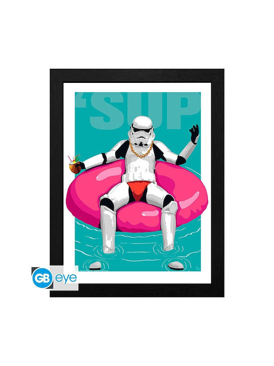 Original Stormtrooper Framed Print Pool Boy 30x40 X2 Fan Shop Merchandise