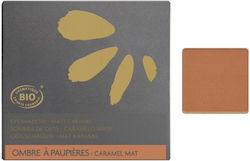 Fleurance Nature Eye Shadows Matte Caramel Shade No 120 1.7g