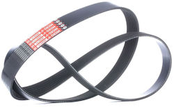Lichtmaschinenriemen 7pk1275t Lichtmaschinenriemen 7pk1275t