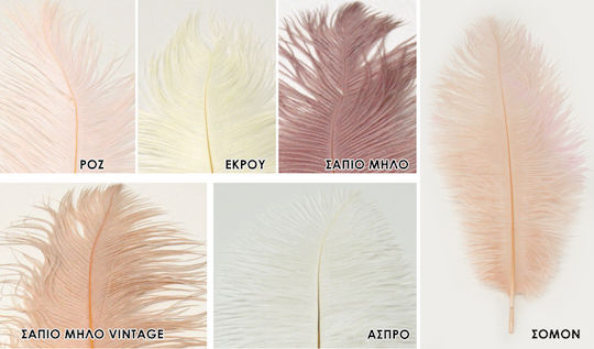 Ostrich Feather 30cm 35cm 0517981 Includes 10 Pieces Dusty Pink