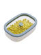 Status Plastic Lunch Box Green 500ml